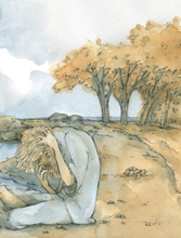 Настоящая история Робинзона Крузо