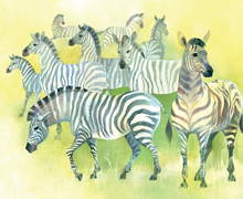 Animal Kaleidoscope. Звериный калейдоскоп